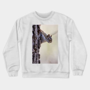 Red Squirrel Crewneck Sweatshirt